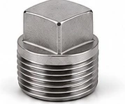 Stainless Steel BSP Plug