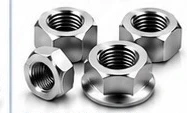 Stainless Steel Nuts