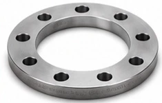Stainless Steel Backing Rings