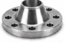 Stainless Steel Weld Neck Flanges