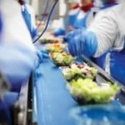 Positive Drive Food Conveyor Belts